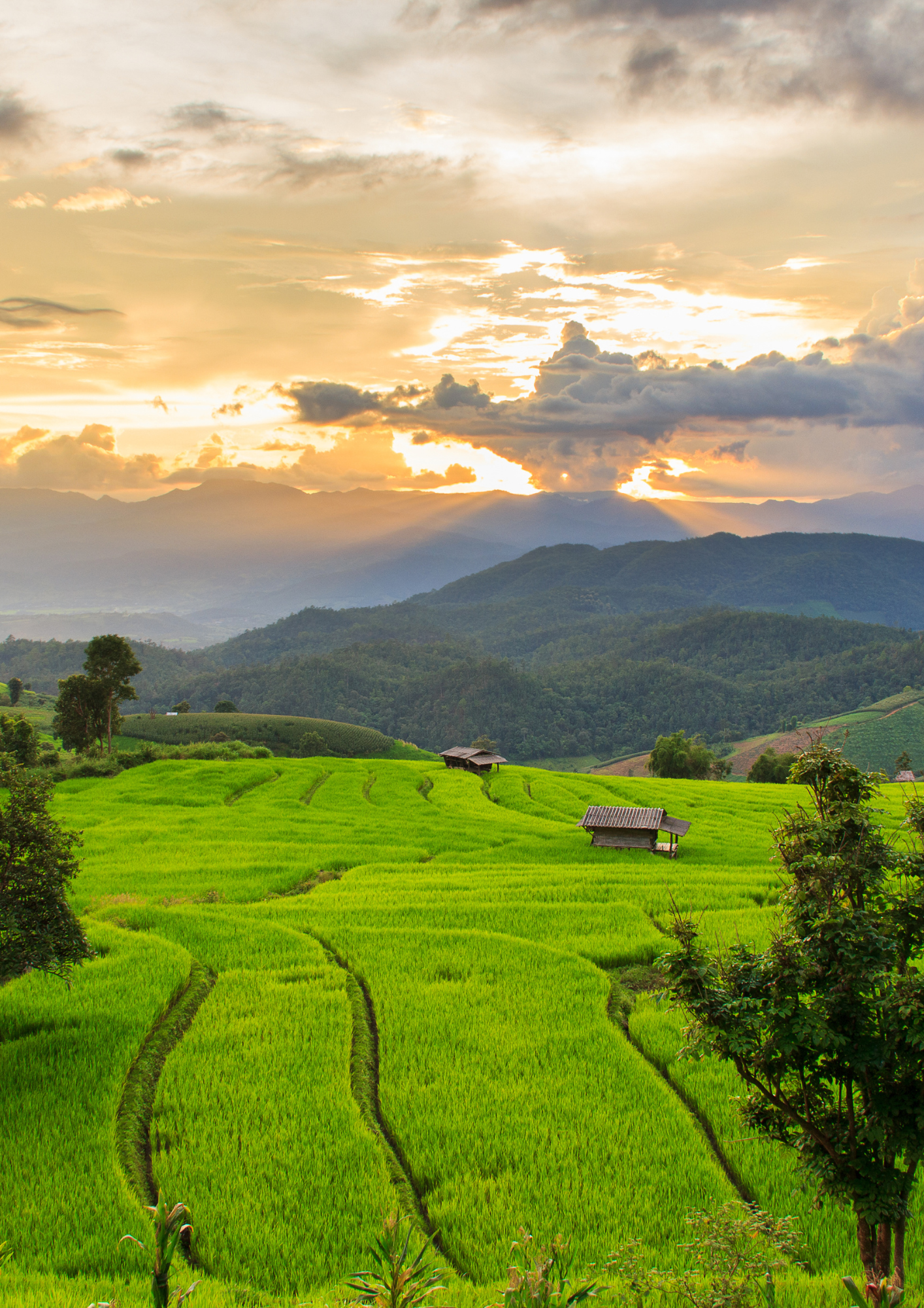 CNX image